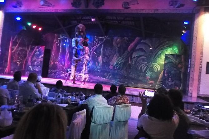 Safari Cat Dancers Show And Dinner - Transportation and Logistics