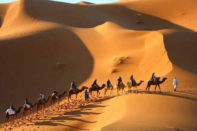 Sahara Adventure 3 Days Marrakech to Fes via Merzouga Desert Tour - Guest Reviews