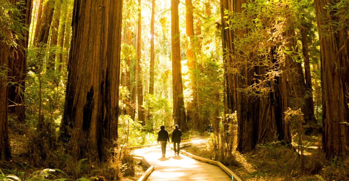 San Francisco: Muir Woods and Sausalito Experience - Itinerary and Highlights