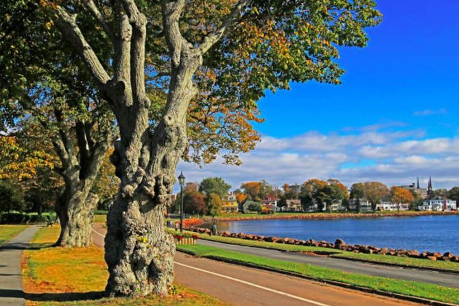 Shore Excursion: Charlottetown Highlights & Delights - Victoria Park Exploration