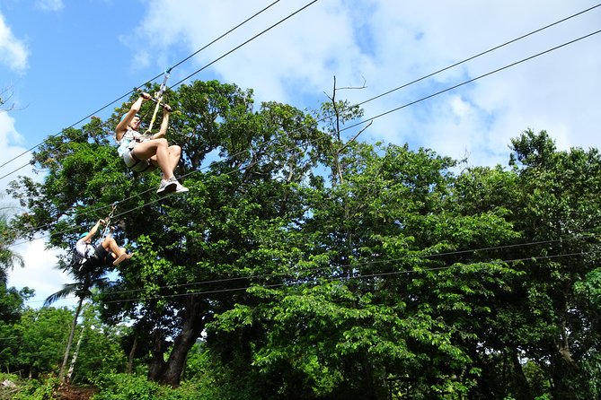 Shore Excursion: Zip Line Adventure - Safety and Gear Fitting