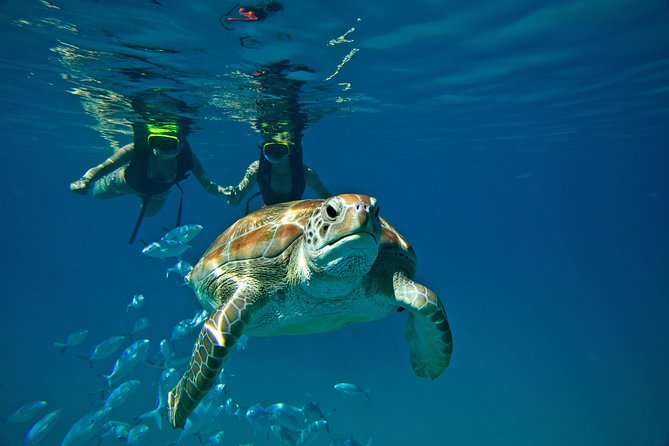 Snorkel Sunset Cruise In Barbados - Logistics and Details