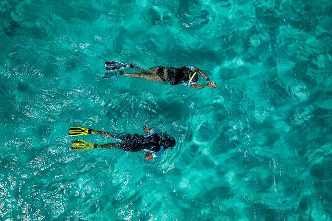 Snorkelling Trip at Ponta De São Lourenço Protected Area - Included in the Package