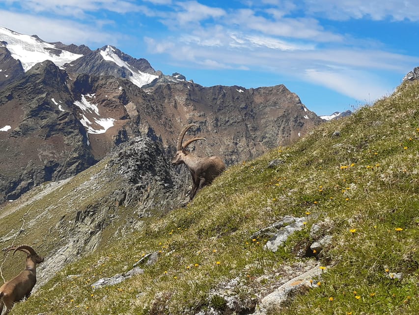 Sölden: MTB / Ebike Tours And/Or Hiking With Newadventure - Booking Information