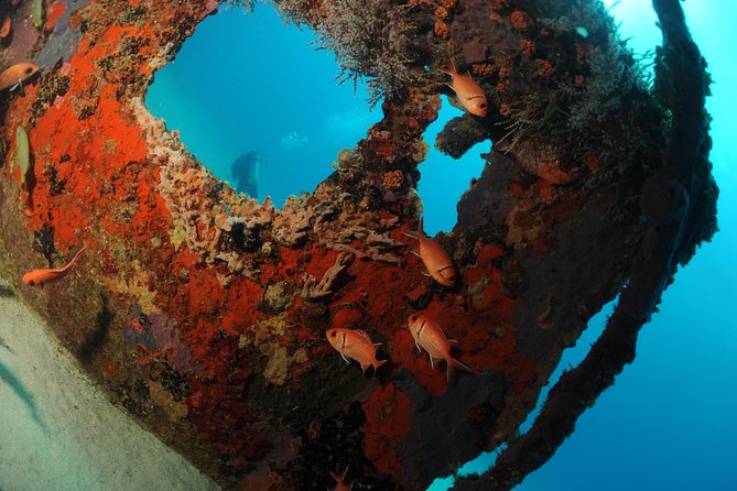 St Maarten Scuba Diving for Certified Divers - Meeting and Pickup Information