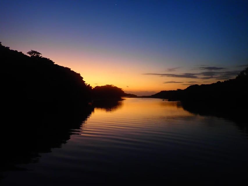 Stand Up Paddleboard: Amazing Sunrise at Mangrove River - Experience Highlights