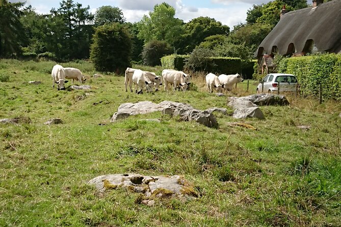 Stonehenge, Avebury, and West Kennet Long Barrow From Salisbury - Logistics