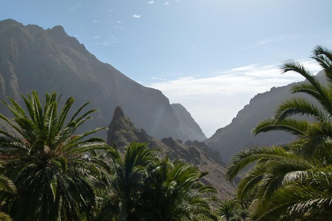 Tenerife Highlights Full-Day Tour - Iconic Drago Tree in Icod