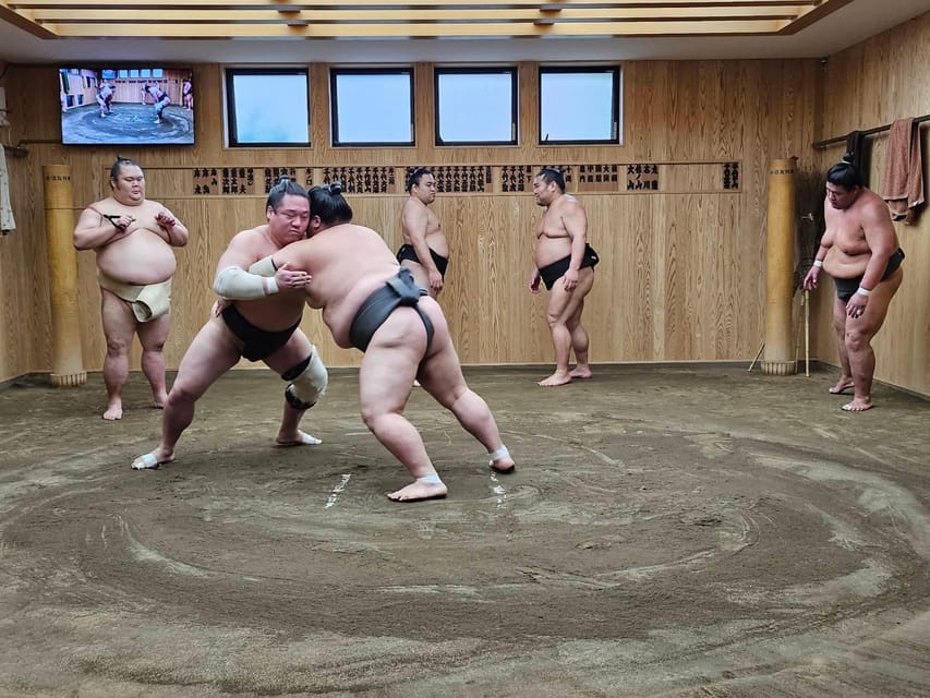 Tokyo Sumo Morning Practice Tour With Private Car Transfer - Experience Highlights