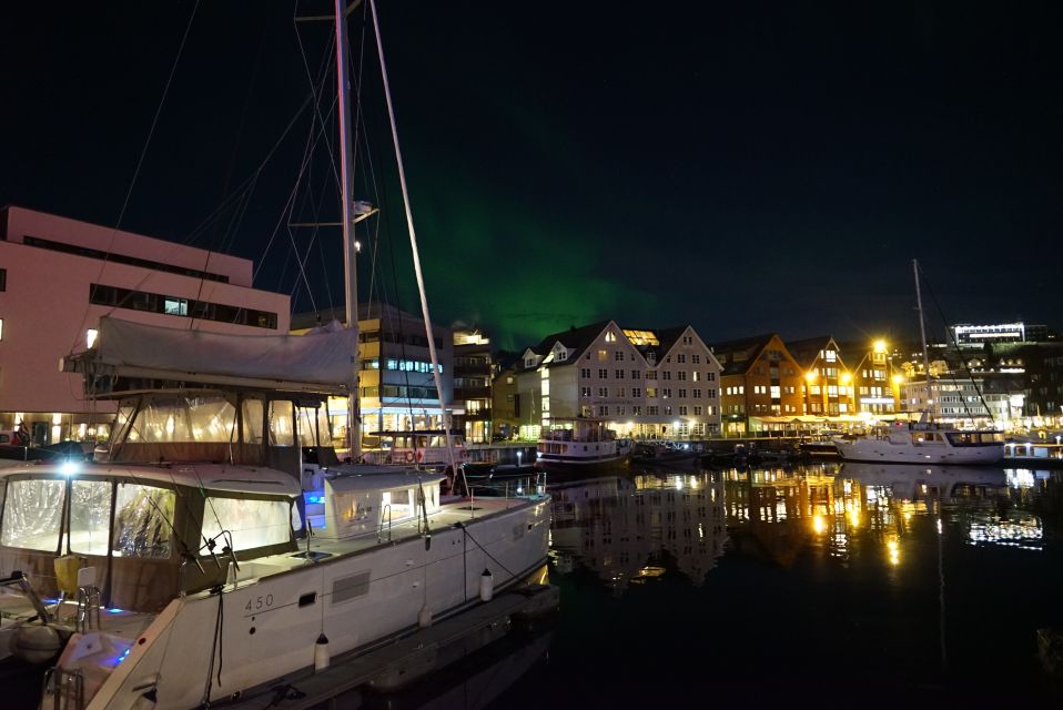 Tromsø: Northern Lights Luxury Catamaran Cruise - Highlights of the Cruise