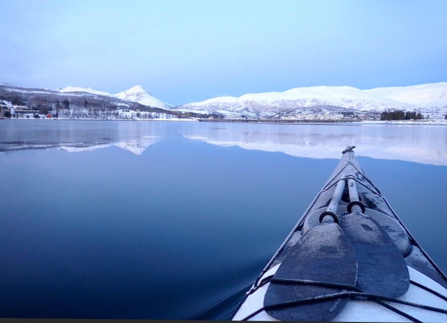 Tromsø: Winter Sea Kayaking Tour With Wildlife Sightings - Exciting Activities