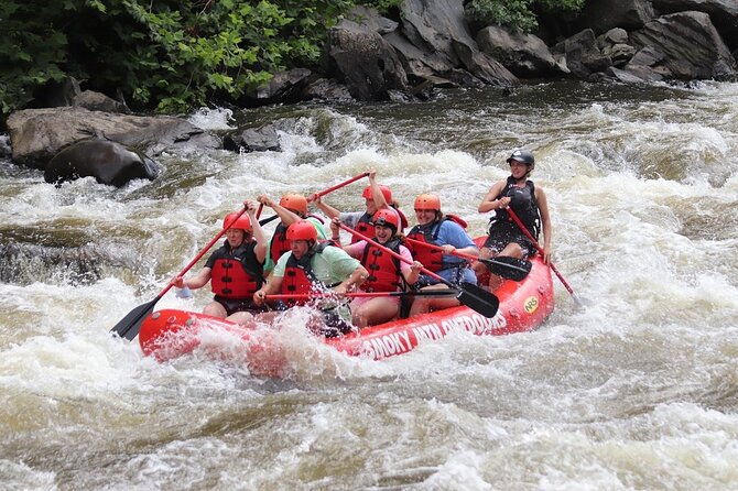 Upper Pigeon River Rafting Trip From Hartford - Included in the Experience