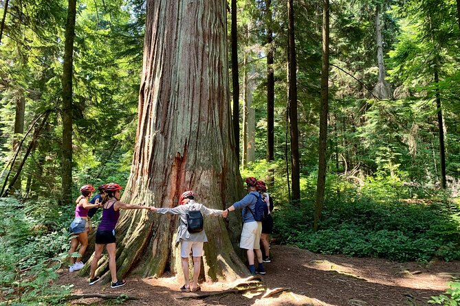 Vancouver Bike Tour - Stanley Park & the World-Famous Seawall - Cycling Through Stanley Park