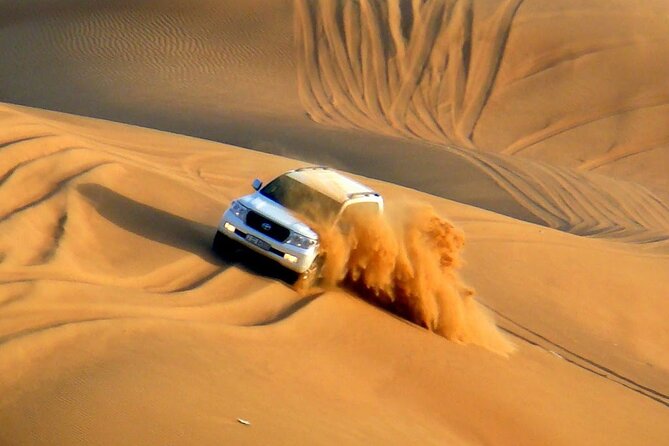 VIP Red Dunes Desert Safari ,BBQ Dinner, Belly Dance & Fire Show - Overview of the Experience