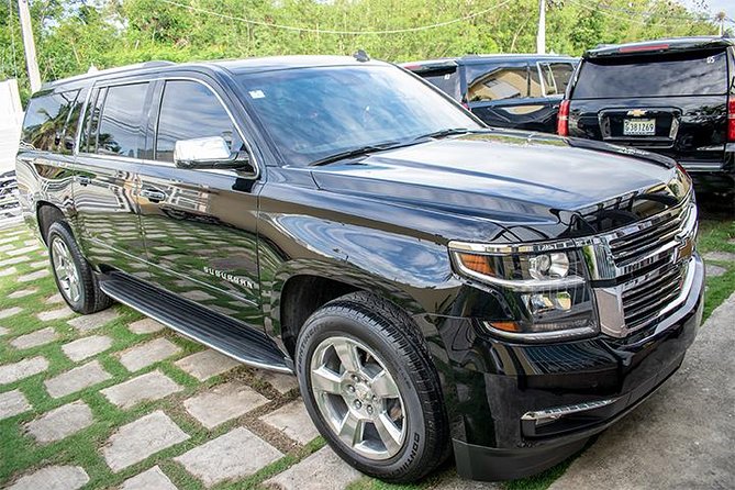 VIP Transfer Punta Cana Airport to Punta Cana & Bavaro Hotels (Not Uvero Alto) - Availability of Baby Seats