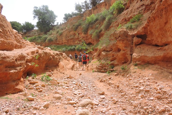 Walk Between Argan Forest, Ocean & Waterfalls. - Highlights of the Experience