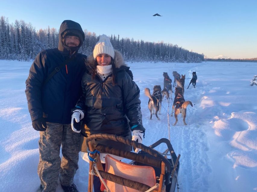 Willow: Traditional Alaskan Dog Sledding Ride - Activity Description and Duration