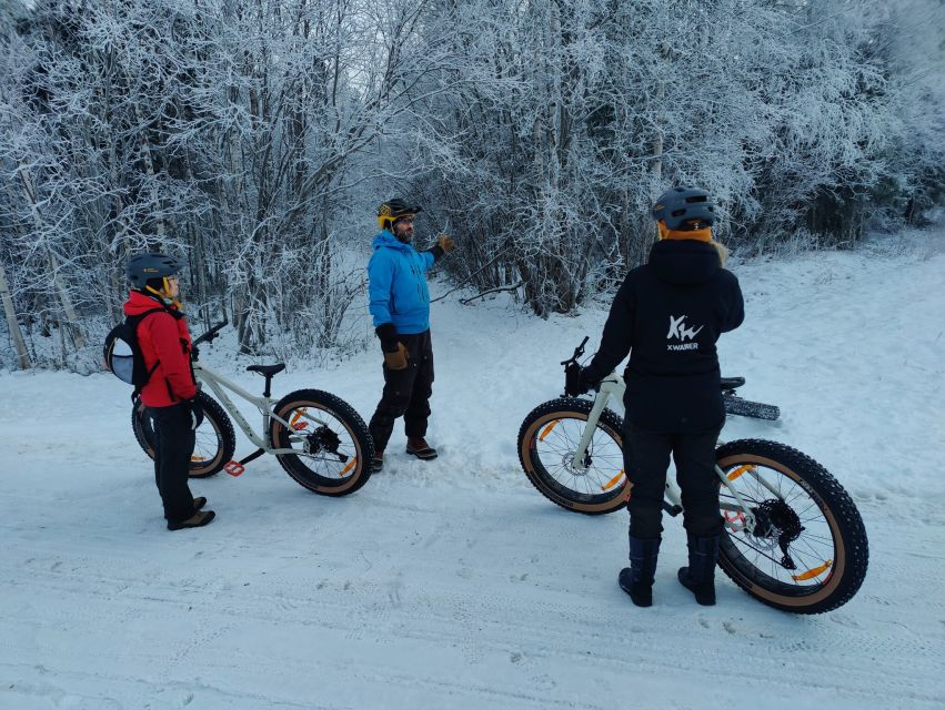 Winter Fatbiking in Ivalo - Highlights