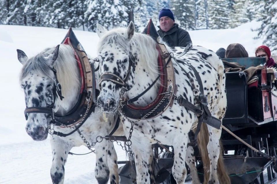 Zakopane: Sleigh Ride With Transfers and Lunch Option - Experience Highlights