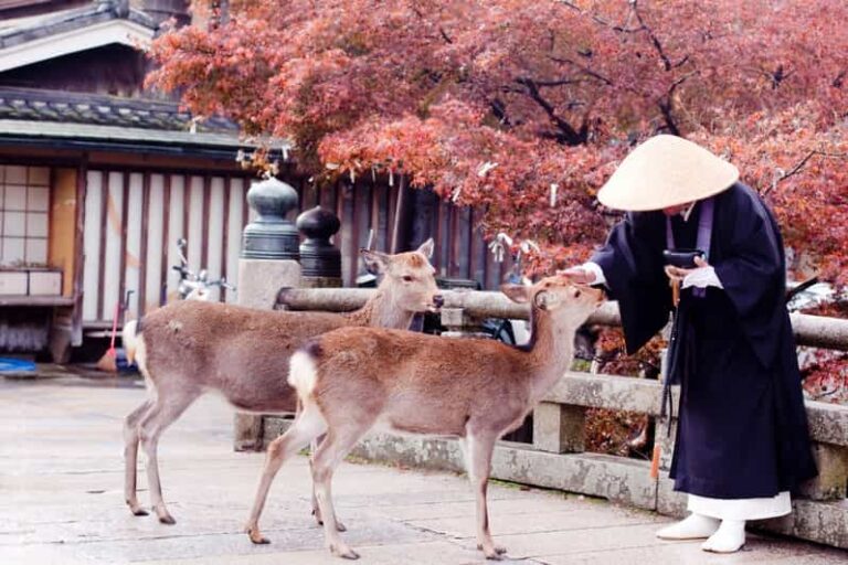 3 Days Private Osaka Kyoto And Nara Tour With English Driver Tour Overview