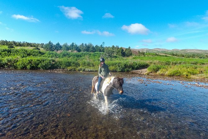 3 Hour Private Horse Riding Tour in Mosfellsdalur - Key Points