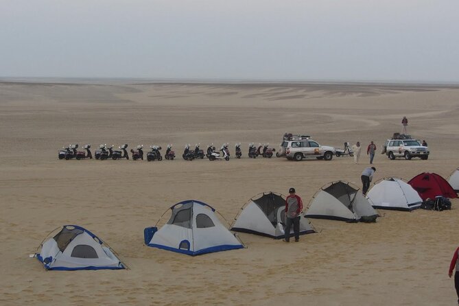 2 Day Bahariya Oasis White Desert Tour - Additional Information