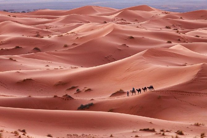 3-Day Desert Experience From Marrakech - Precautions and Recommendations