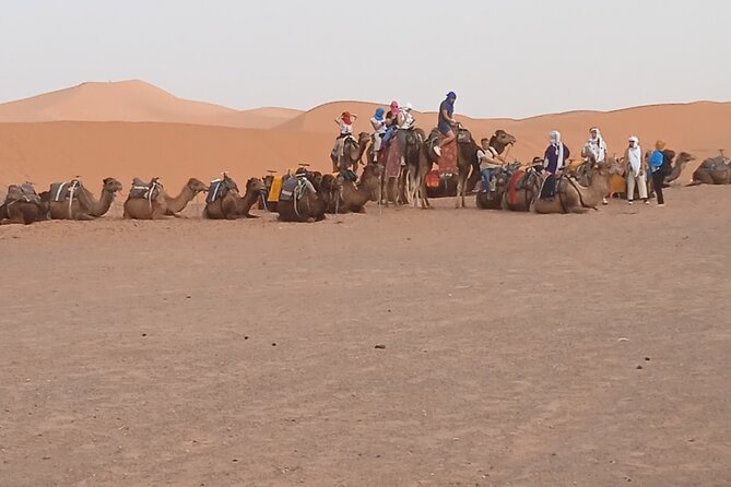 3-Day Tour to Merzouga Erg Chebbi With Food & Camel Trek - Todra Gorge Exploration