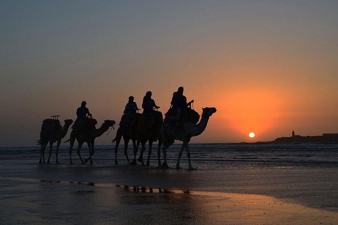 3 Hours Ride on Camel at Sunset - Additional Information