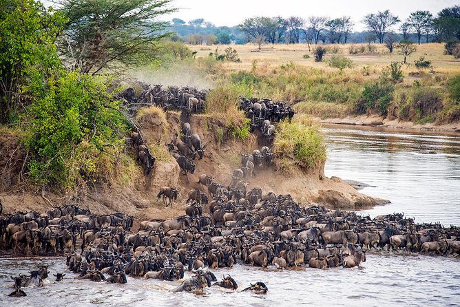 7 Days Magical Northern Tanzania With Roy Safaris - Additional Options