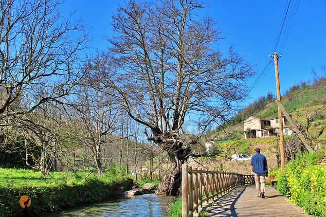 A Tour Between the Cascades and Schist Villages, Piodão - Pickup and Meeting