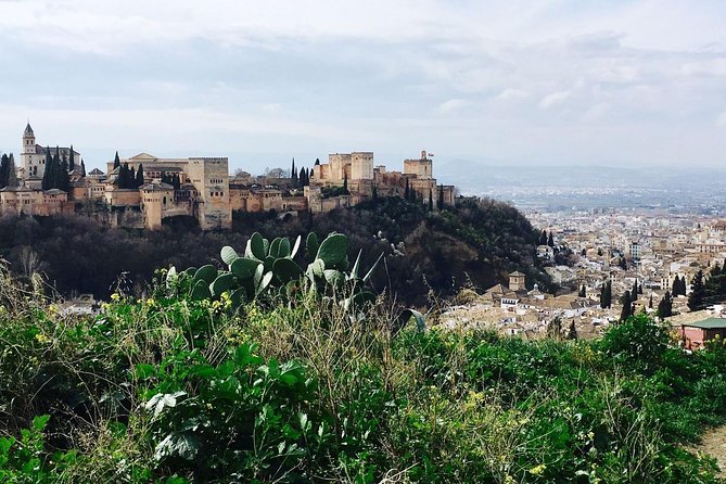 Alhambra Private Tour (Without Tickets) Total/Group Max 15 People - Tour Guide Highlights