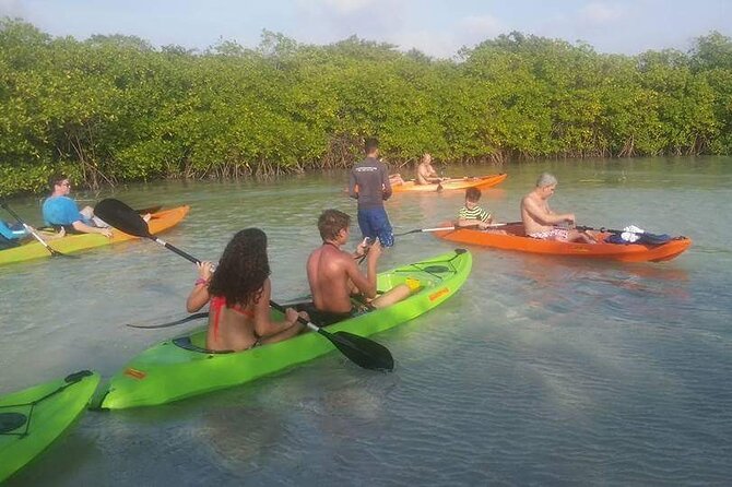 Aruba Glass Bottom Kayak Tour Through the Mangrove Forest - Kayaking Distance and Duration