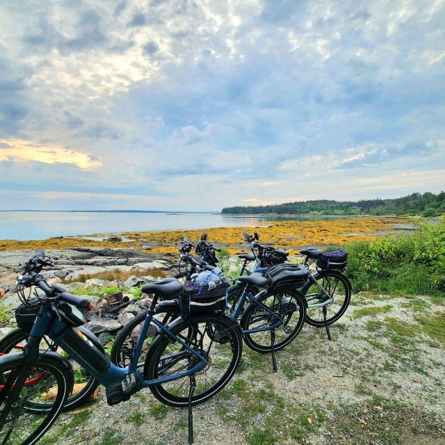 Bar Harbor: Acadia National Park Carriage Roads Ebike Tour - Guided Tour Experience