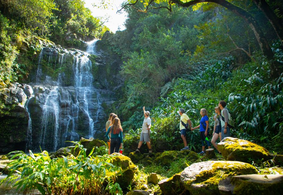 Big Island: Full Day Adventure Tour of the Kohala Waterfalls - Off-Road Adventure