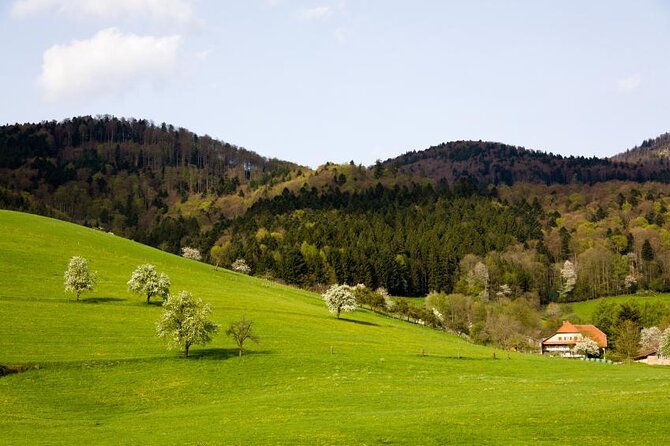 Black Forest Day Tour - Booking and Cancellation