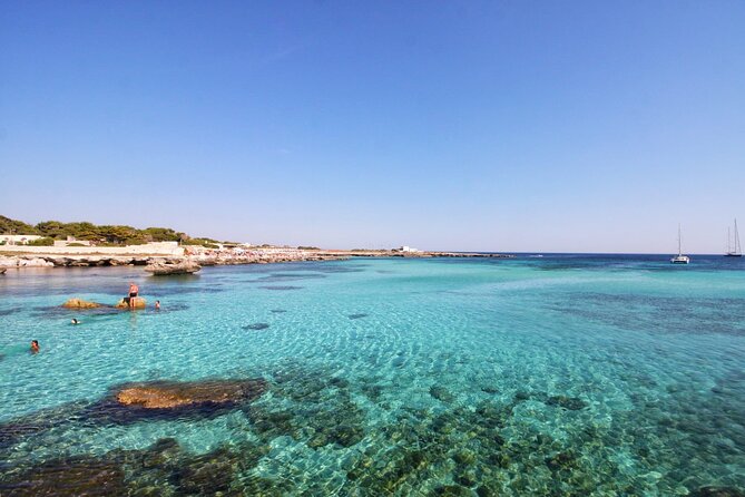 Boat Tour Excursion From Trapani to Favignana and Levanzo 8 Hours - Group Size and Accessibility