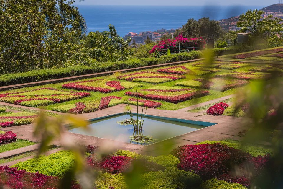 Botanical Garden & Funchal Old Town Private Tuk Tuk Tour - Botanical Garden Exploration