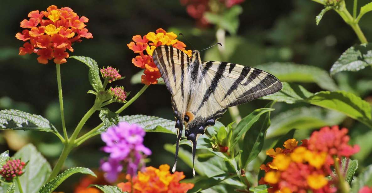 BOTANICAL PARK & GARDENS OF CRETE - Visitor Experience and Activities