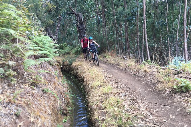 Botanical Trails of Madeira. Mountain Biking Trail Experience - Booking and Cancellation Policies