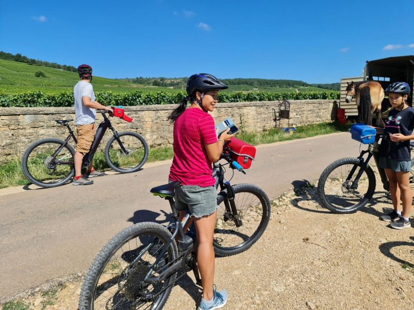 Burgundy: Fantastic 2-Day Cycling Tour With Wine Tasting - Winery Discoveries