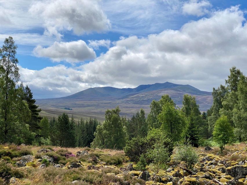 Cairngorms: Lochnagar Guided Walk - Balmoral Estate and Royal Connections