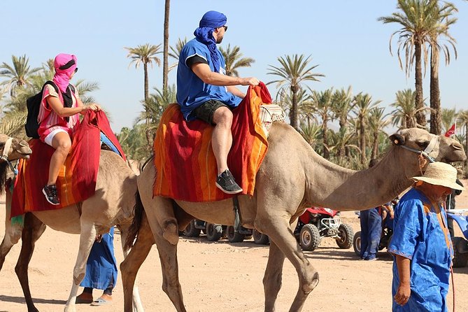 Camel Trekking Through Marrakeshs Palm Grove - Tour Schedule and Availability