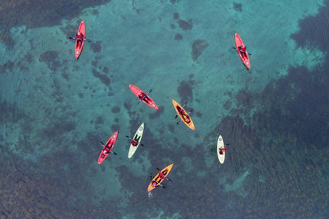 Classic Kayaking Adventure by Mt. Kirkjufell - Benefit From Guided Tour