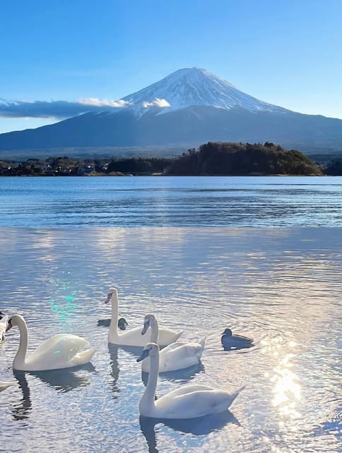 Comfortable Tour in Mount Fuji - Driver and Language Services