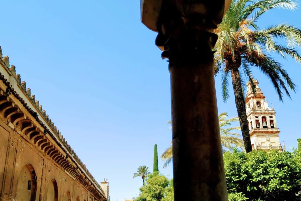 Cordoba Highlights Full-Day Tour From Granada - Transportation