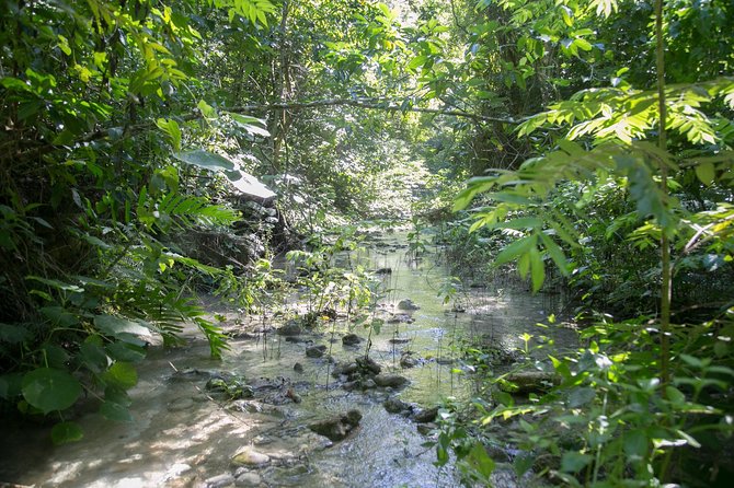 Damajagua Waterfalls Adventure - Health and Safety Considerations