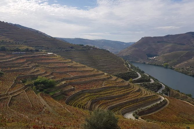 Douro Valley Tour From Peso Da Regua - Cancellation Policy