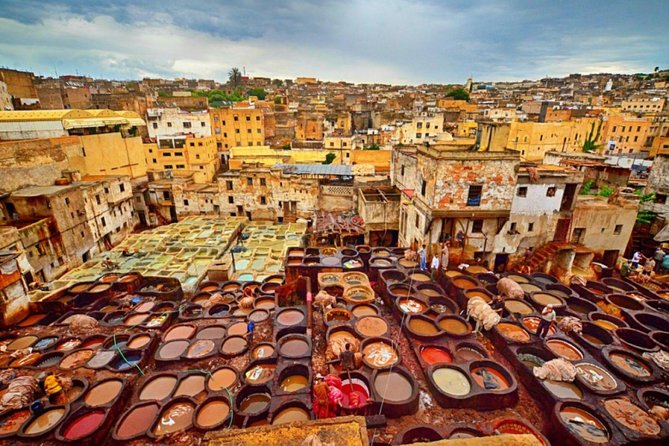 Fez Guided Tour With Lunch From Casablanca - See Chouara Tannery