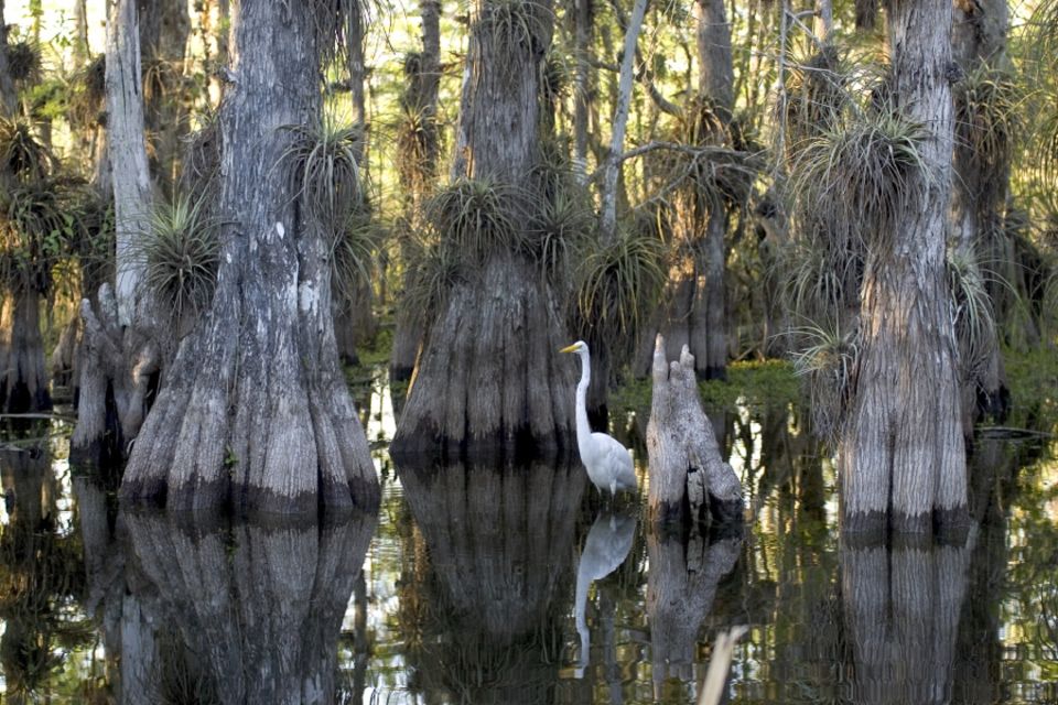 Florida Keys: Key West Kayak Eco Tour With Nature Guide - Experience Highlights